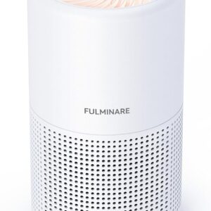 Air Purifiers for Bedroom, FULMINARE H13 True HEPA Air Filte